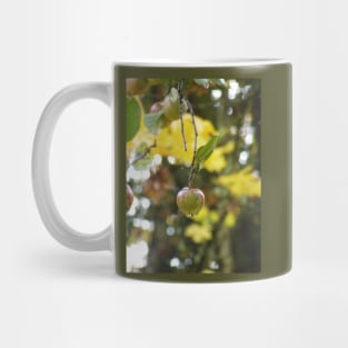 Autumn Sun rays #9, raindrops on apple Mug